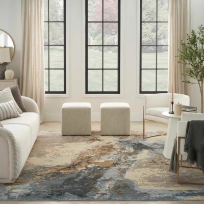 area rugs in a bright living room with big windows