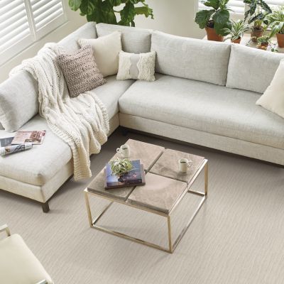 beige textured carpets in a bright Sand City living room